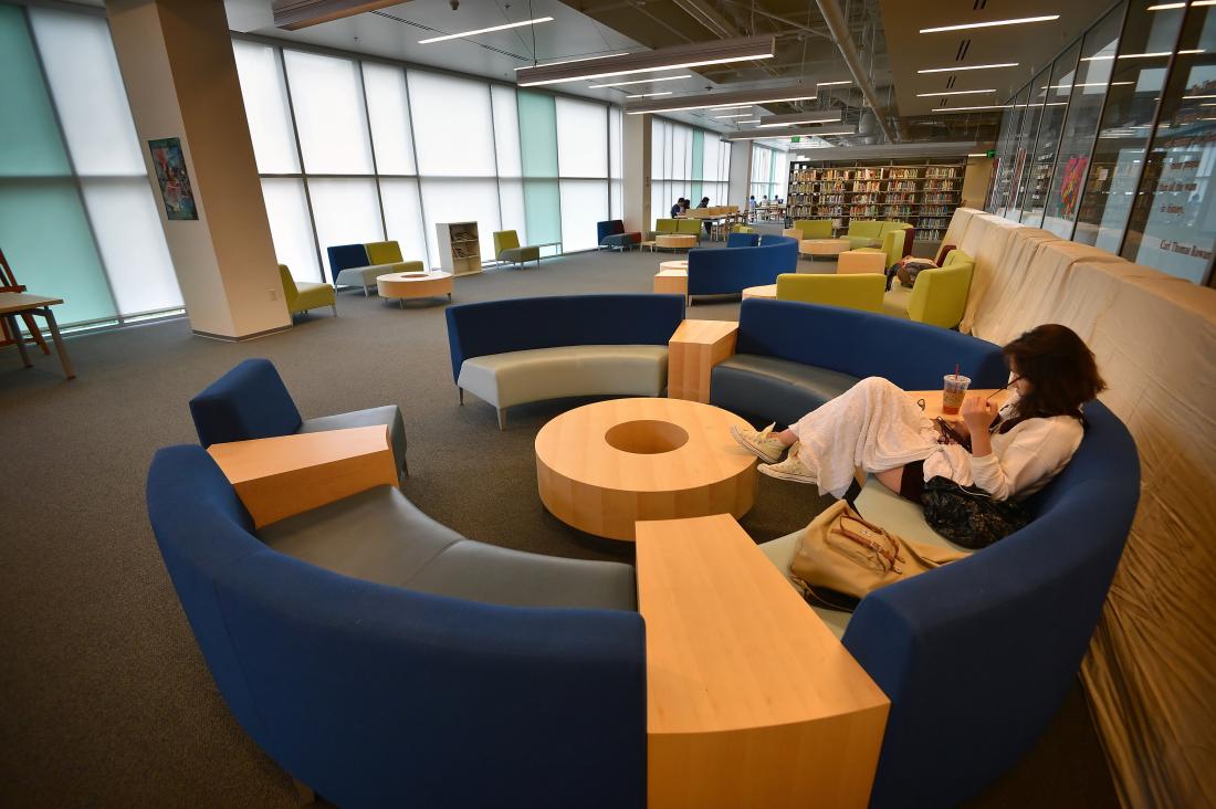 Student Sitting in the Library